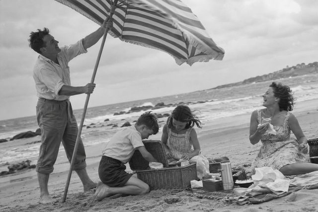 A windy beach picnic, a stubborn umbrella, and sandwiches that needed guarding.
